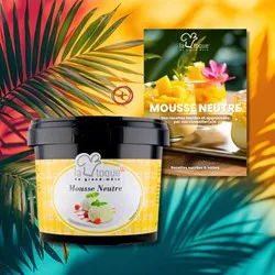MOUSSE NEUTRE 500G + LIVRET