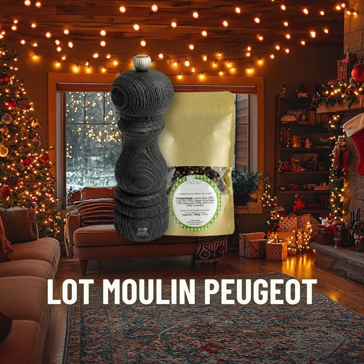 LOT MOULIN PEUGEOT- EMB KDO