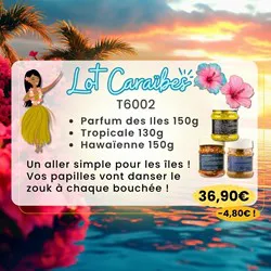LOT CARAIBES