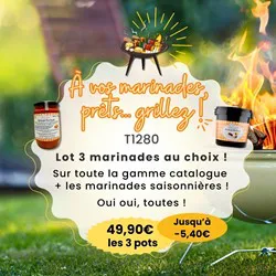 LOT 3 MARINADES AU CHOIX