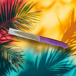 COUTEAU OFFICE 10 CM VIOLET