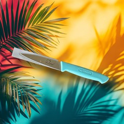 COUTEAU OFFICE 10 CM TURQUOISE